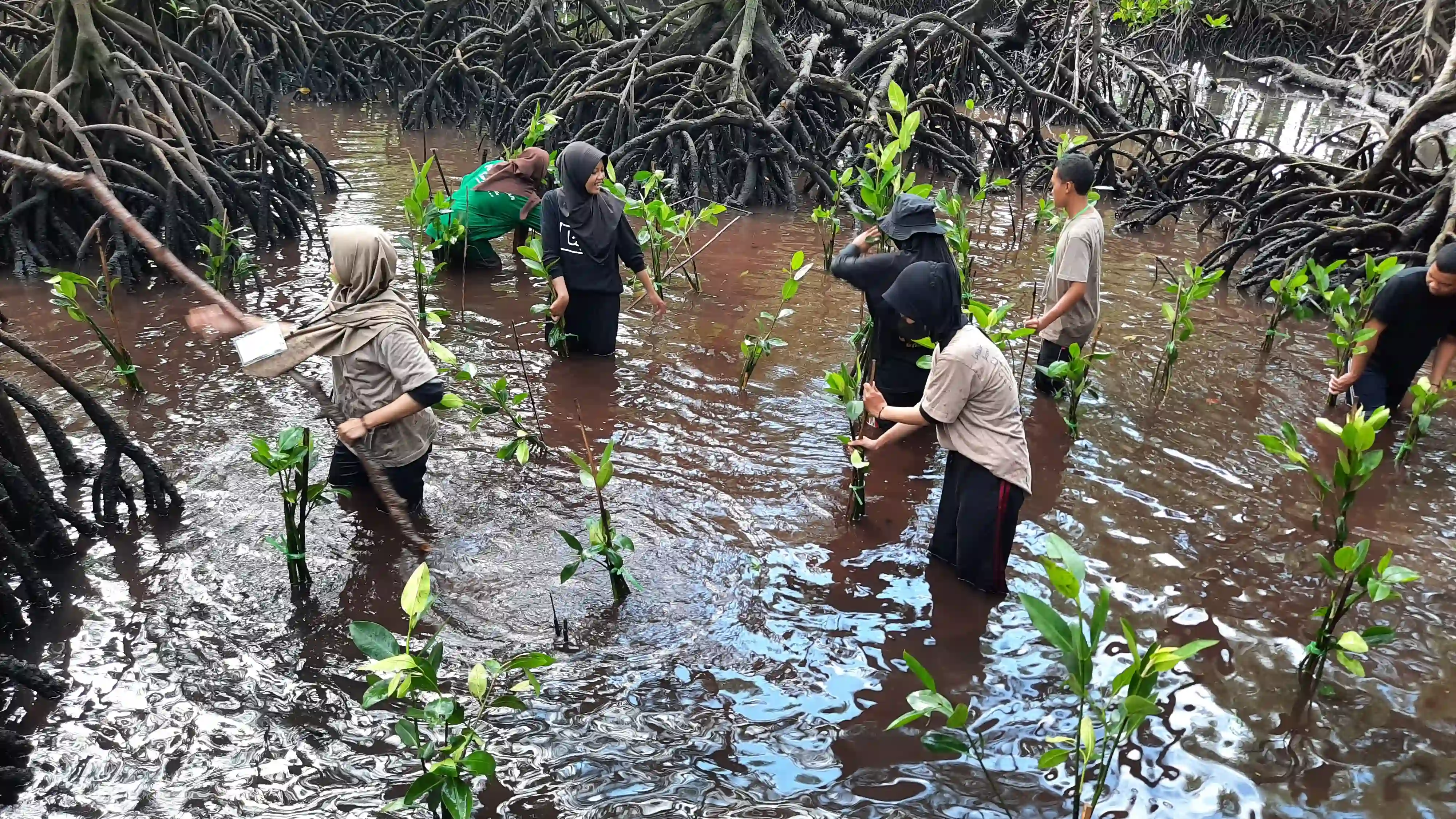 Sedekah Pohon LindungiHutan